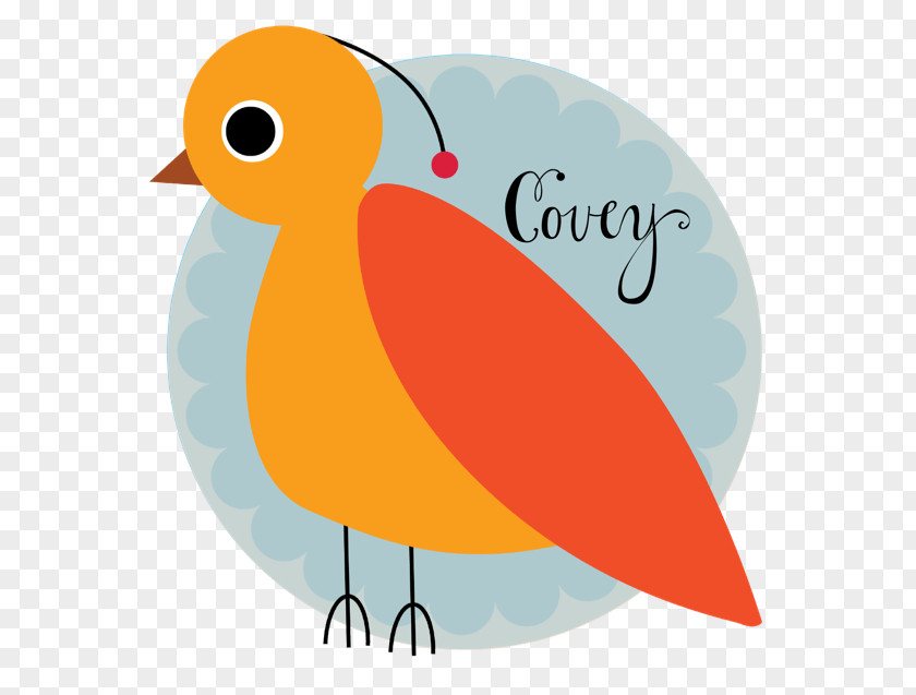 Bird Beak Consultant Clip Art PNG