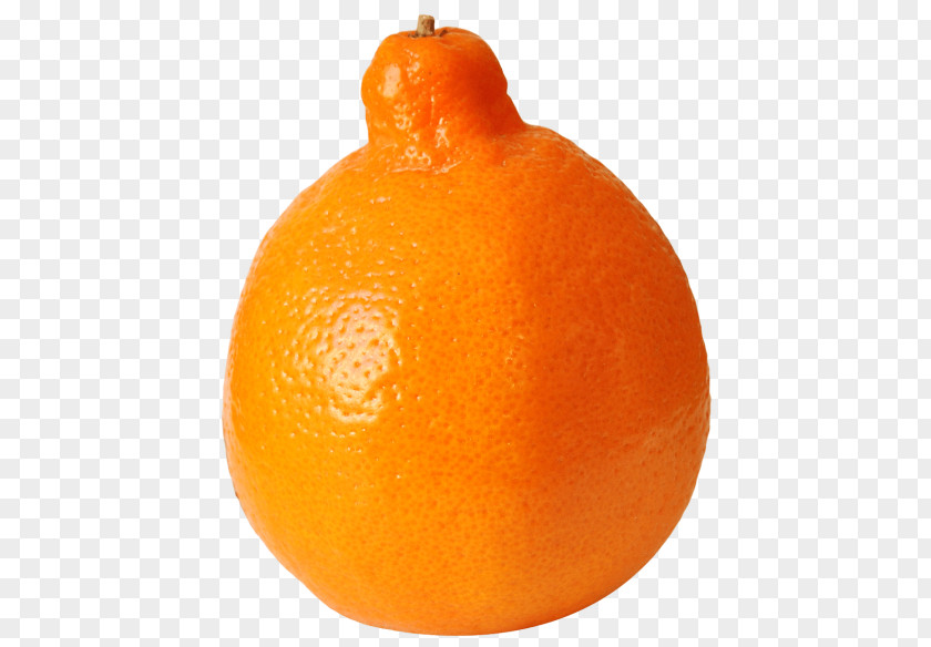 Orange Clementine Tangelo Mandarin Tangerine Blood PNG