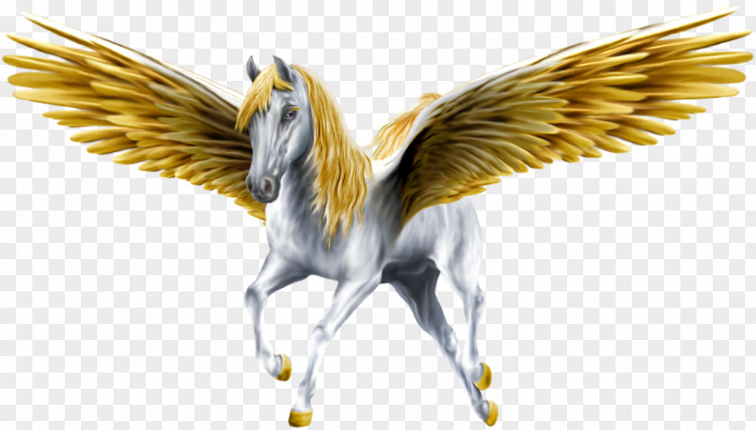 Pegasus Desktop Wallpaper Download Greek Mythology PNG