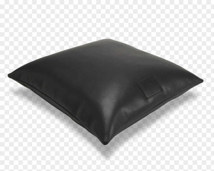 Throw Pillow Do It Yourself Electronics Desktop Computers Raspberry Pi Learning PNG