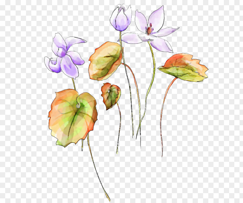 Watercolor Painting Watercolour Flowers PNG