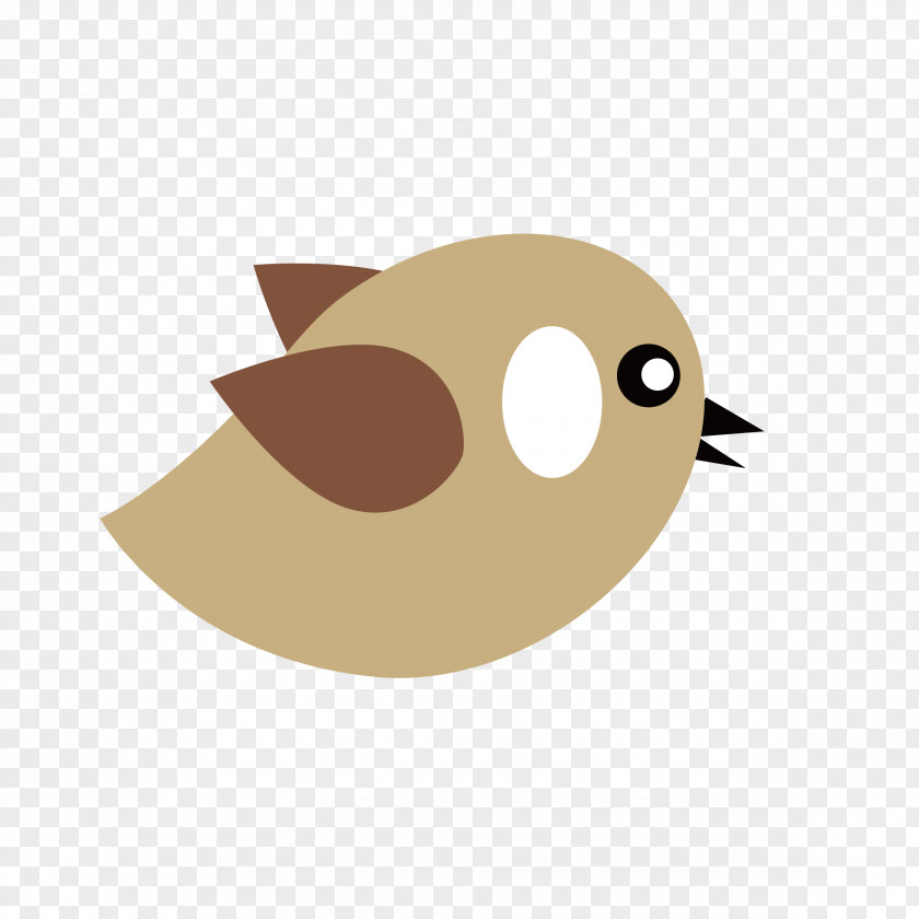 Birds Bird Cartoon Animation Illustration PNG