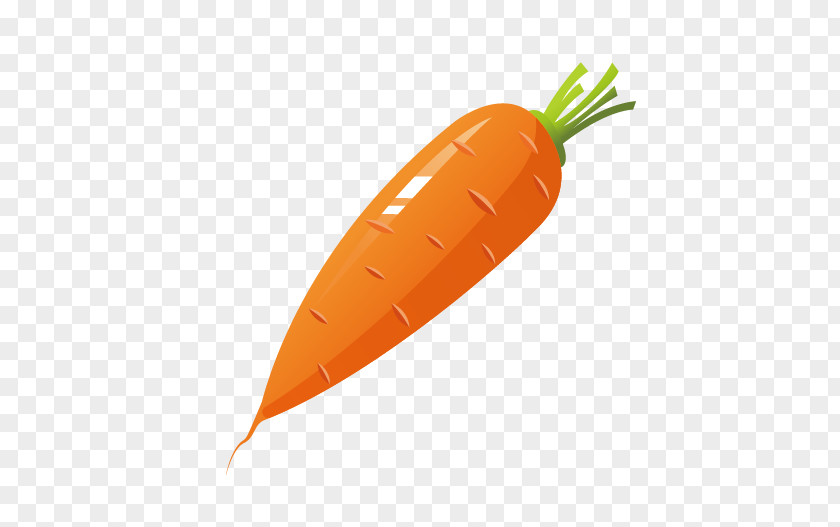 Carrot Cake Vegetable PNG