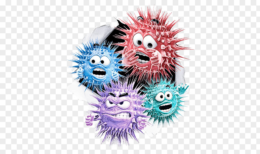 Cartoon Head Smile Hedgehog Porcupine Fishes PNG