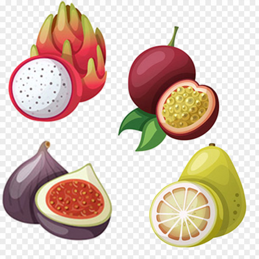 Dragon Fruit Mangosteen Passion Grapefruit Tropical Illustration PNG