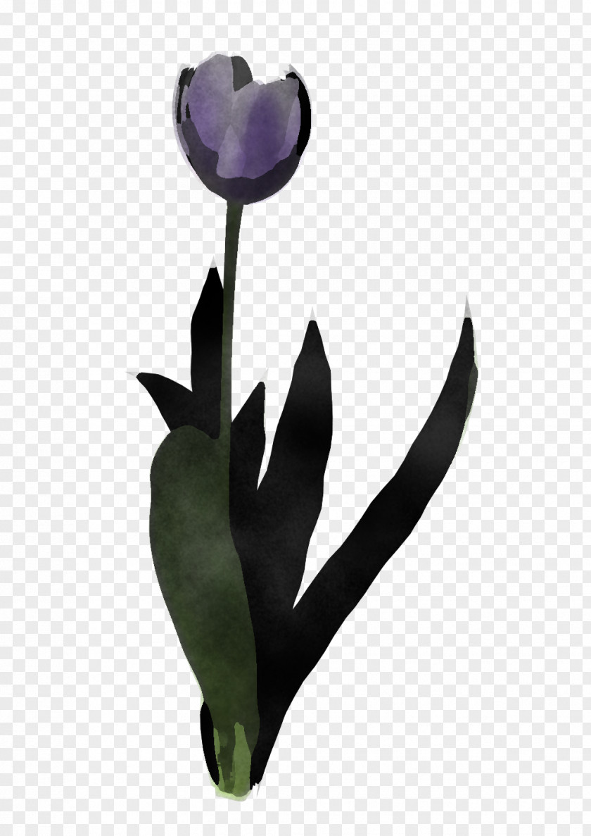Flower Tulip Purple Violet Plant PNG