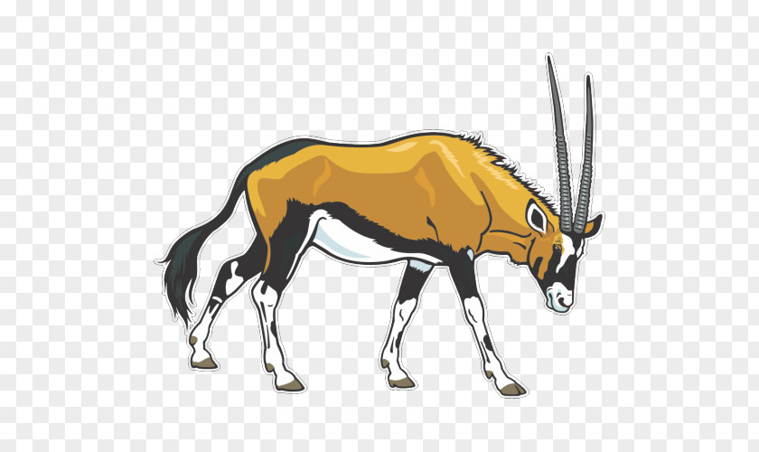 Gemsbok Antelope Clip Art PNG