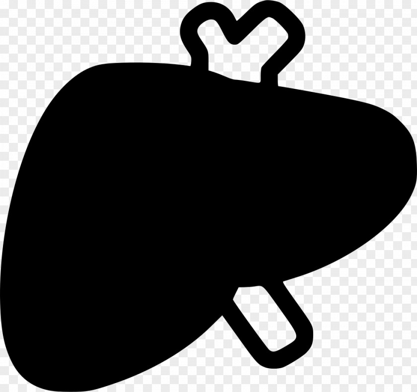 Livery Clip Art Liver PNG