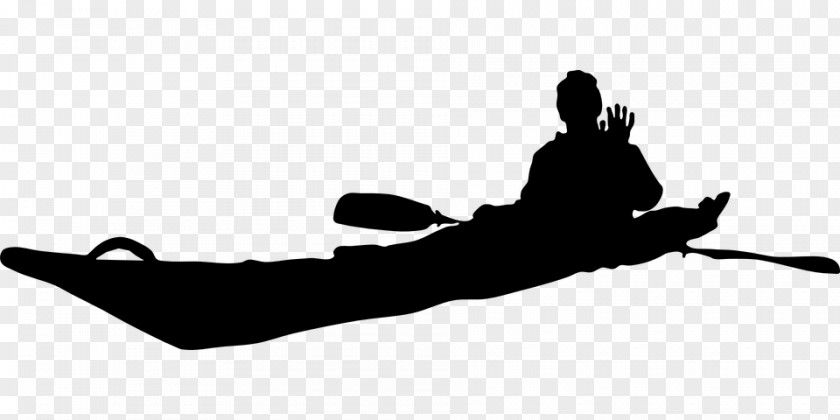 Paddle Sea Kayak Canoe Clip Art PNG