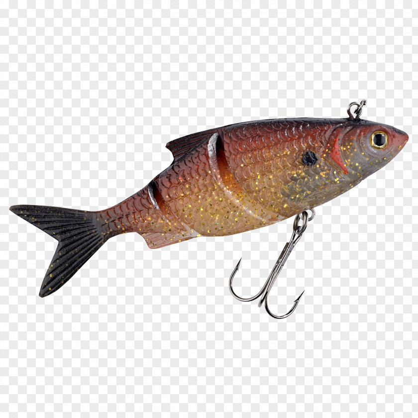 Spoon Lure Fishing Baits & Lures Gummifisch Common Roach European Perch PNG