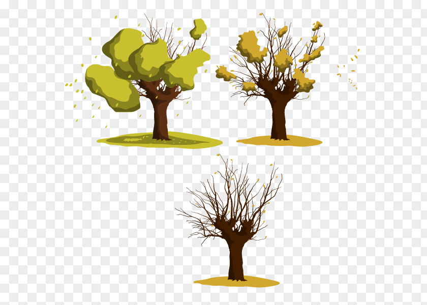 Vector Onset Of Winter The Leaves Fall In Process Wattles Tree Euclidean PNG