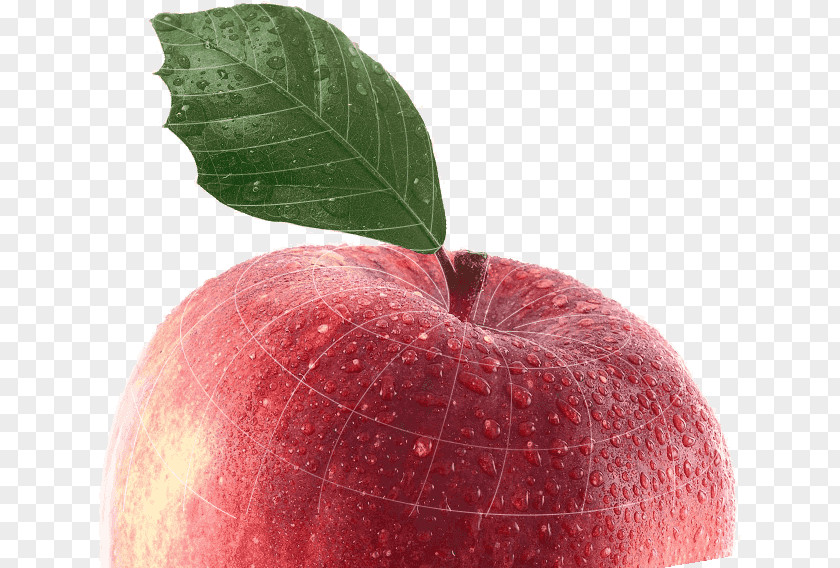 Apple Pencil Advertising Auglis PNG