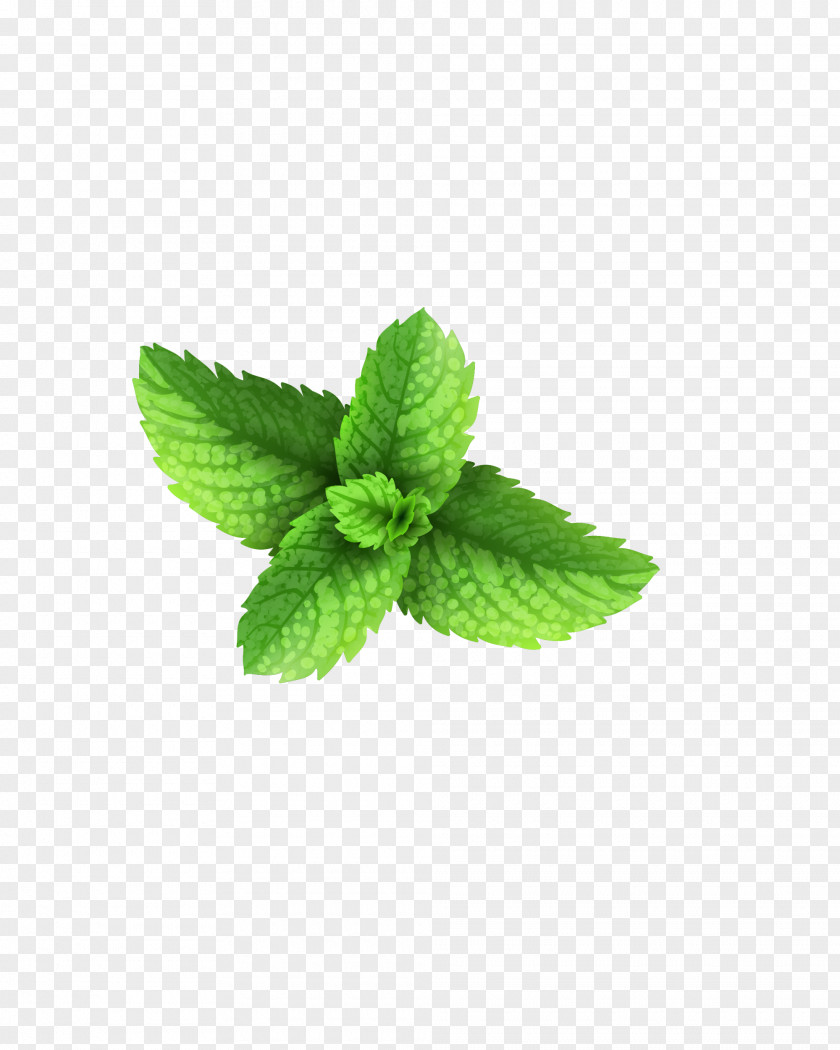 Green, Fresh Grass Milkshake Peppermint Green Download PNG