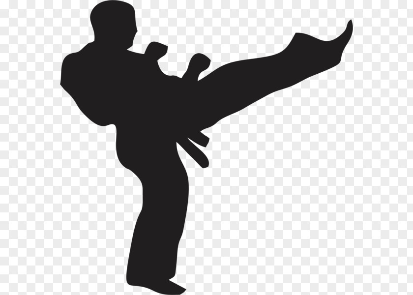Karate Martial Arts Black Belt Kickboxing PNG