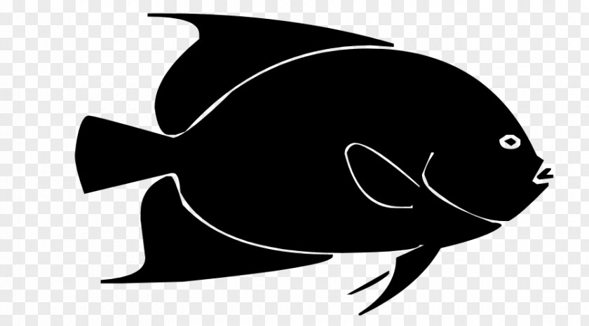 Marine Fish Silhouette Clip Art PNG