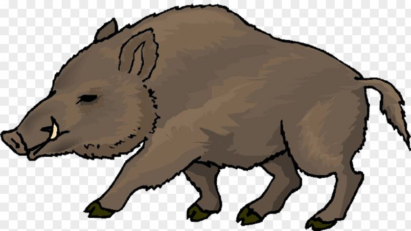 Wild Boar Clip Art PNG