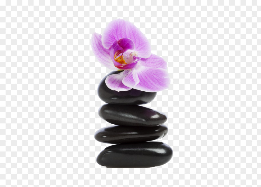 Zen Orchids Sticker Rock Pamper Party Pebble PNG