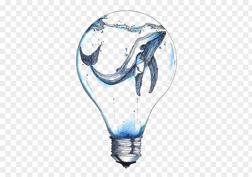 Creative Whale Incandescent Light Bulb Drawing Tattoo PNG