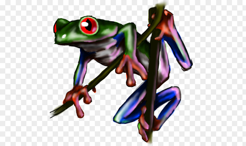 Frog Tree True Toad Clip Art PNG