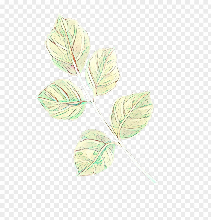 Leaf Plant Flower Tree Petal PNG