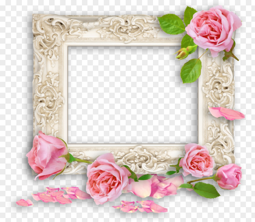Rose Borders And Frames Picture Image Clip Art PNG