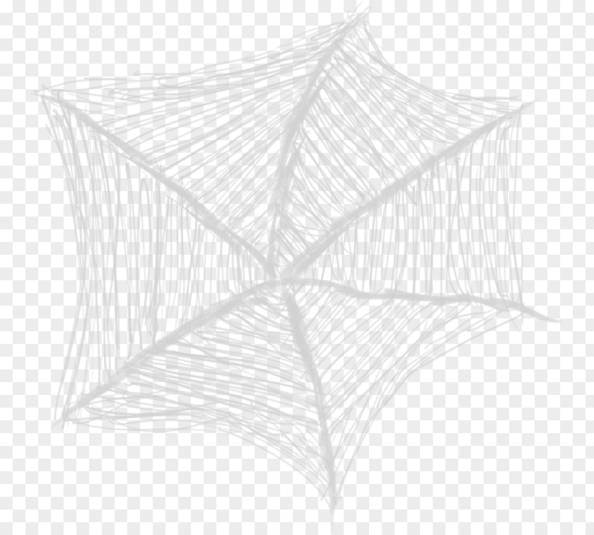 Spider Web Line Drawing Circle Angle PNG