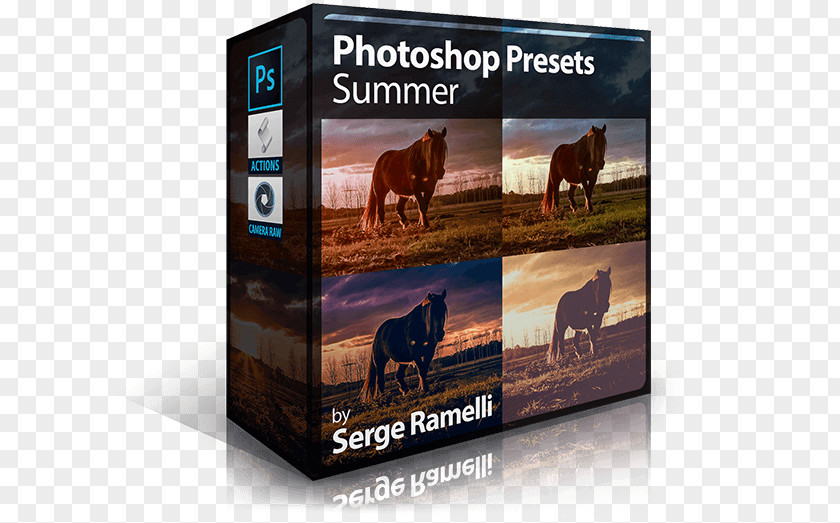 SUMMER CLASS Tutorial Adobe Lightroom Systems PNG