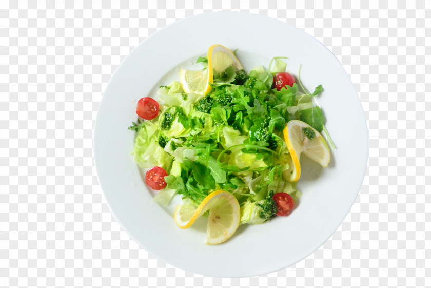 Vegetable Salad Paneer Tikka Dressing Eating PNG