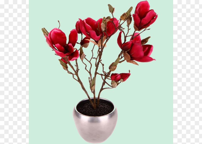 Brush Pot Magnolia Flowerpot Houseplant PNG