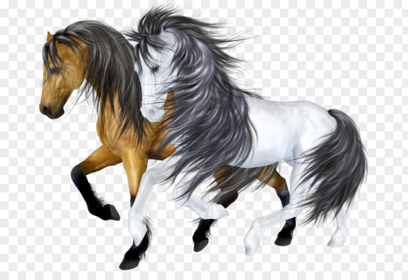 Cartoon Horse Mustang Drawing Stallion Pony Clip Art PNG