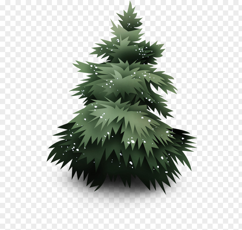 Christmas Tree PNG