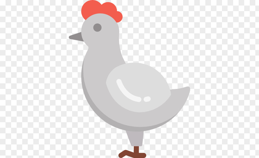 Hen PNG