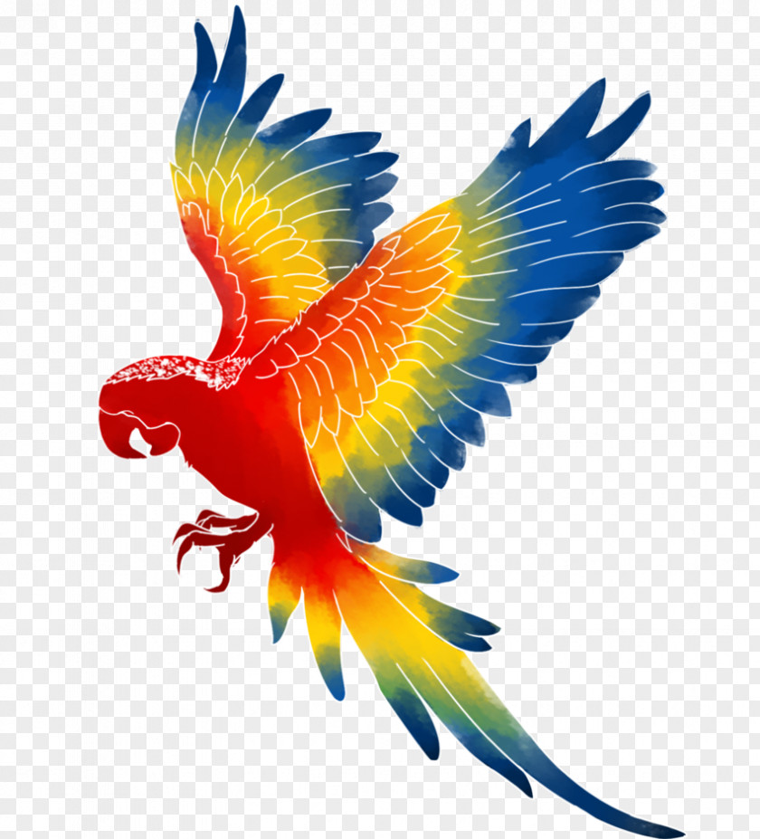 Macaw Parrot Bird Clip Art PNG