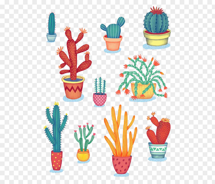 Potted Cactus Cactaceae Succulent Plant Drawing Illustration PNG