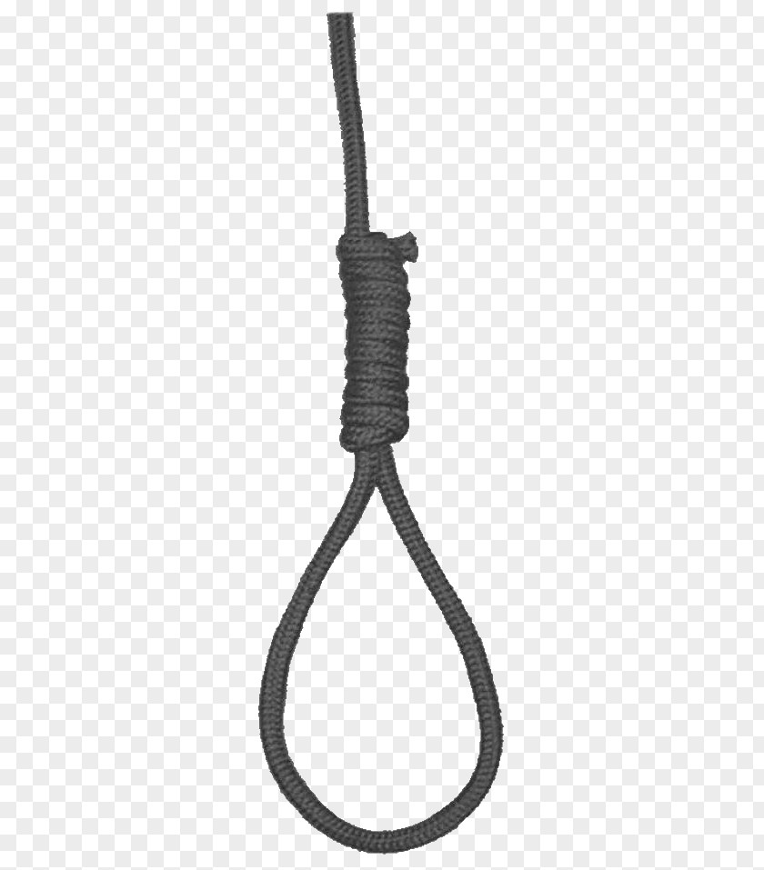 Rope Hangman's Knot Noose Clip Art PNG