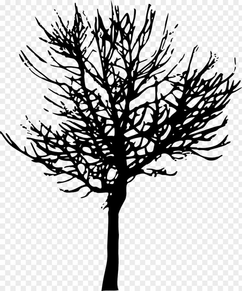 Tree Vector Branch Desktop Wallpaper Clip Art PNG
