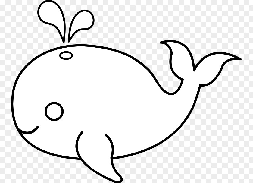 Cute Whale Coloring Book Child Drawing Clip Art PNG