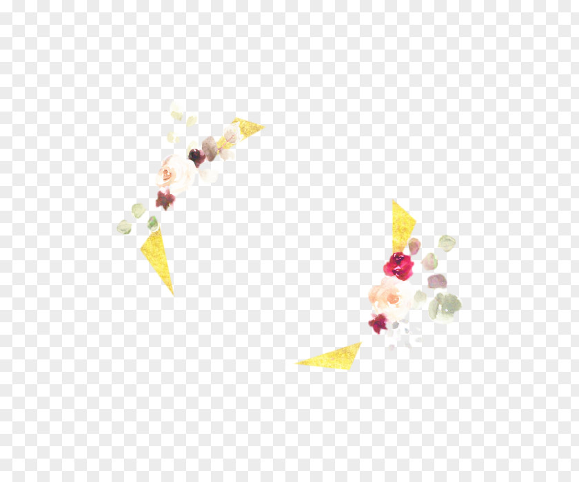 Flower Confetti Cartoon PNG