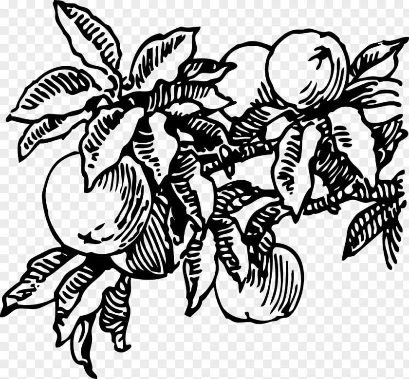 Peach Fruit James And The Giant Clip Art PNG