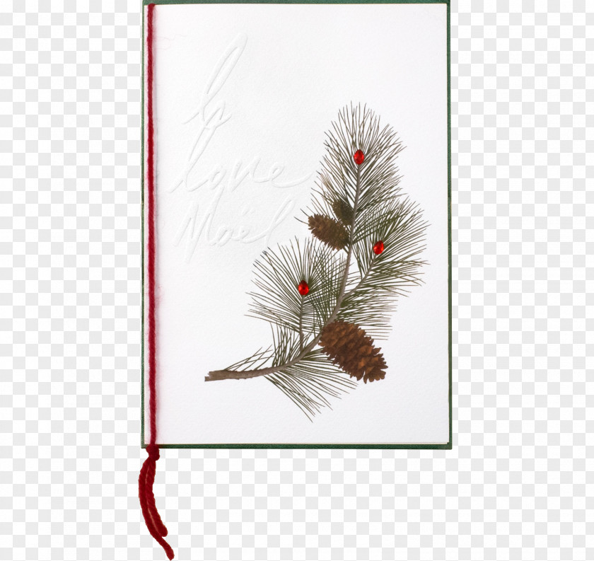 Pine Cone Tree Conifers Twig Plant Christmas Ornament PNG