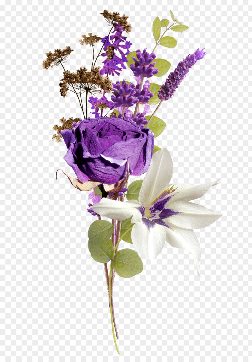 Flower Lavender Garden Roses Clip Art PNG