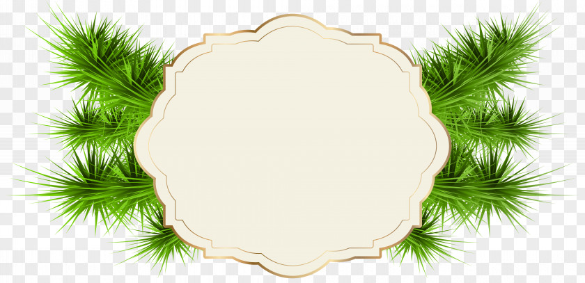 Green Label Santa Claus Christmas Card Greeting & Note Cards PNG