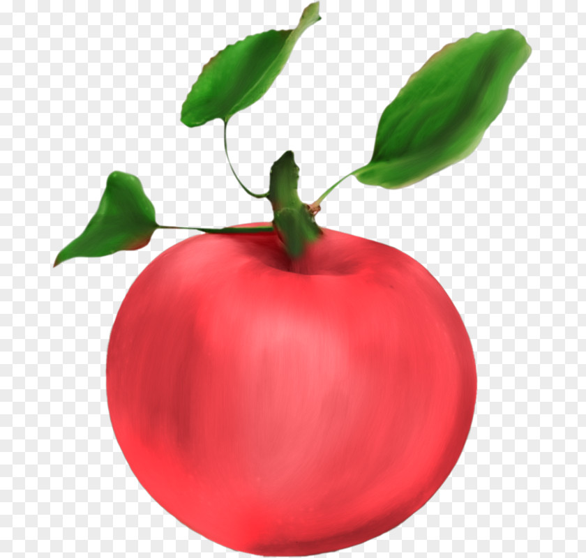 Hand-painted Red Apple Food Fruit Clip Art PNG