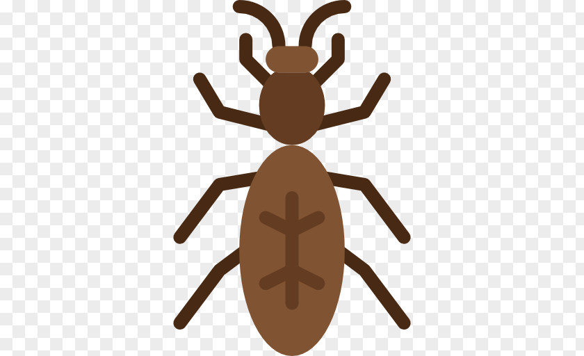 Insect PNG