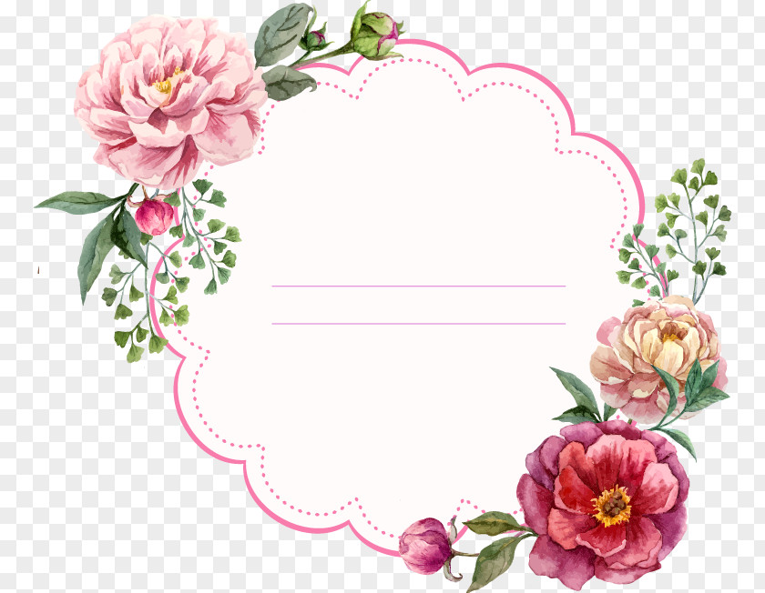 Peony Flower Painted Circular Border Picture Frame Floral Design Stock Photography PNG