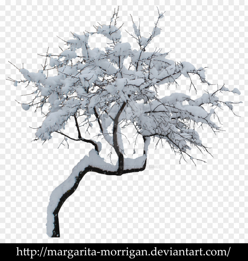 Snow Tree Winter Branch Clip Art PNG