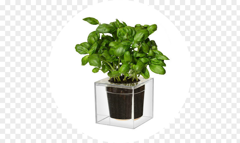 Cube Flowerpot Garden Watering Cans Container PNG