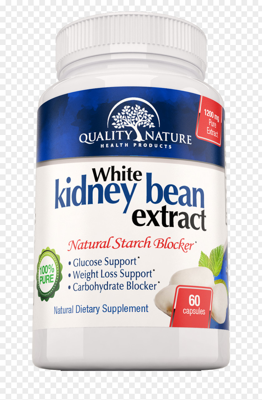 Kidney Dietary Supplement Carbohydrate Weight Loss Extract Bean PNG