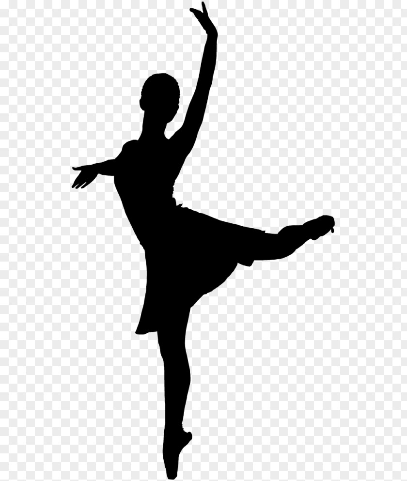 Lion Dance Modern Ballet Dancer Classical PNG