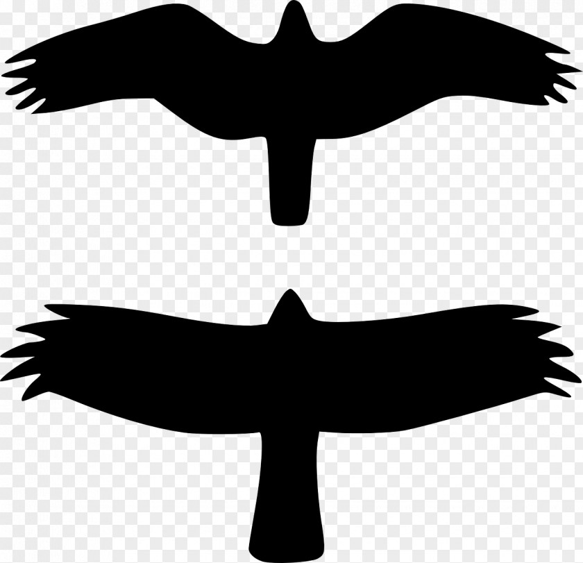 Sparrow Hawk Clip Art PNG